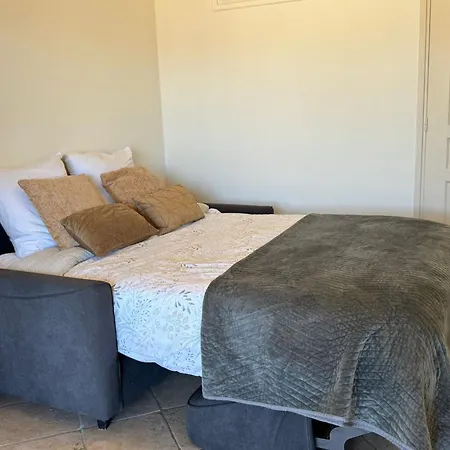 Villa Baie Des Anges דירה ניס