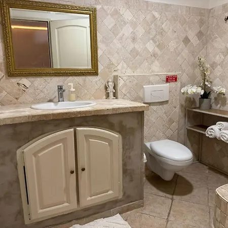 Villa Baie Des Anges דירה ניס